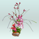 Arreglos con flores naturales exóticas para eventos o regalos 2